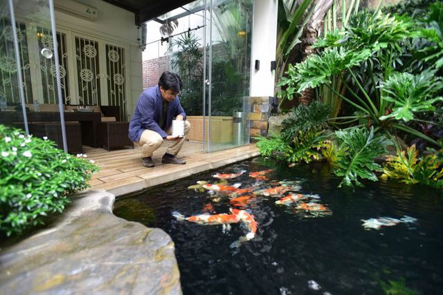 Lắp đèn âm nước cho bể cá