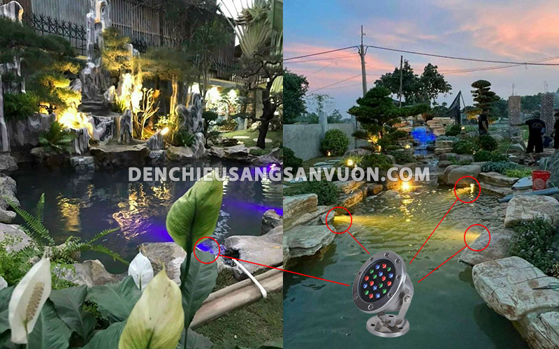 den-chieu-diem-chan-de-ho-ca-koi