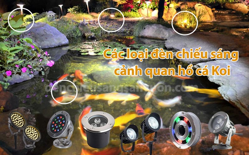 den-chieu-sang-canh-quan-ho-ca-koi