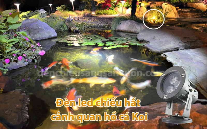 den-led-chieu-hat-canh-quan-ho-ca-koi