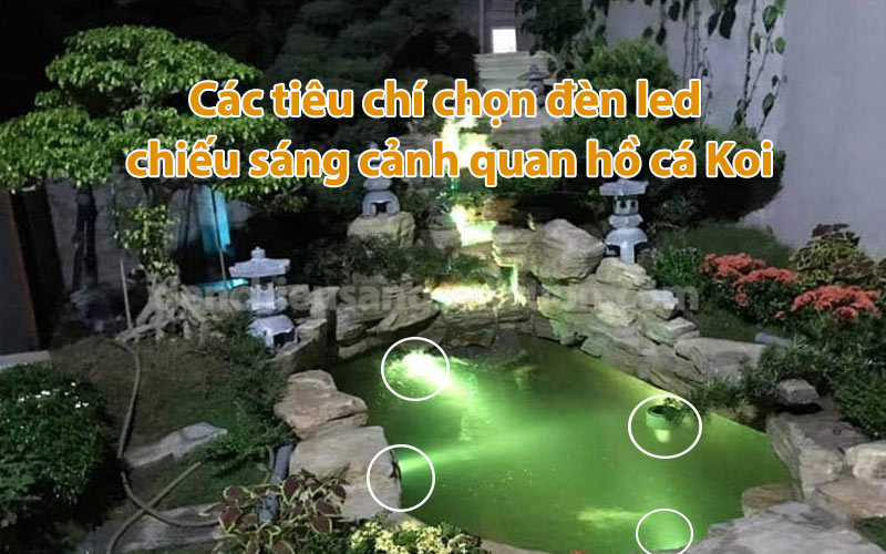 tieu-chi-lua-chon-den-chieu-sang-canh-quan-ho-ca-koi