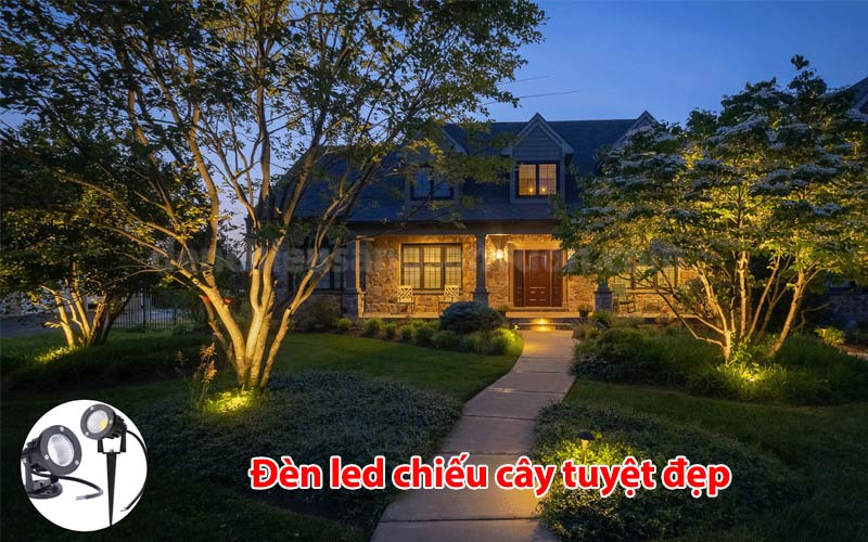 den-led-chieu-cay-tuyet-dep