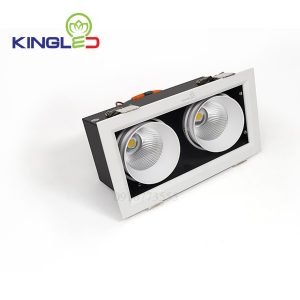 Đèn led spotlight Kingled đôi 2*10w GL-2*10-V227