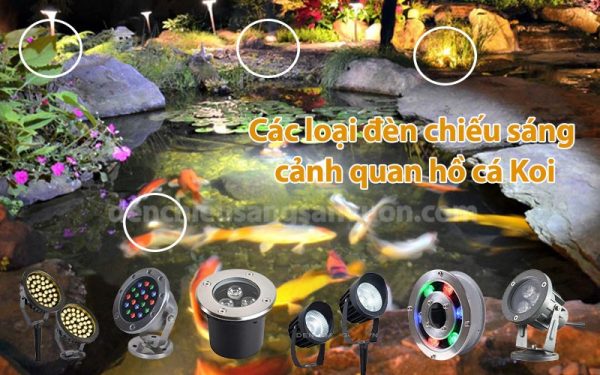 den-chieu-sang-canh-quan-ho-ca-koi